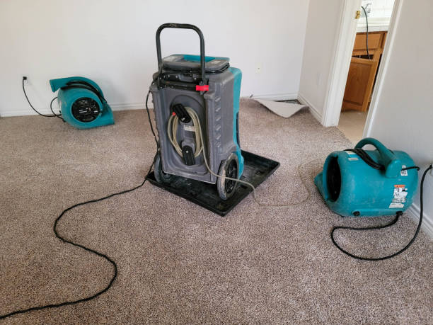 Best Mold removal after water damage  in Butler, AL
