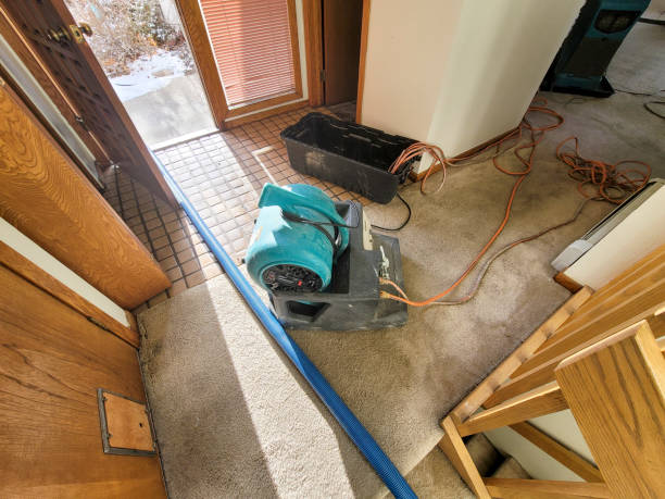 Best Local water damage restoration  in Butler, AL