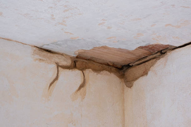 Best Fire Damage Restoration  in Butler, AL