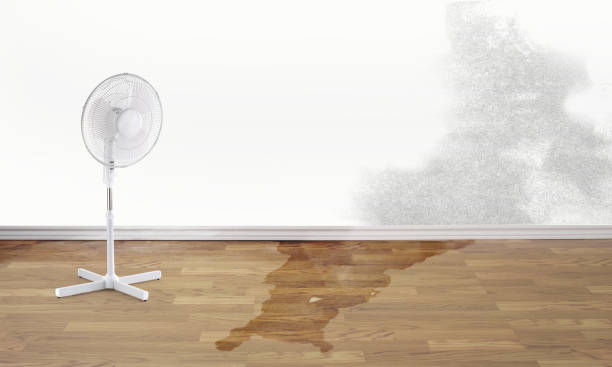 Best Residential water damage restoration  in Butler, AL