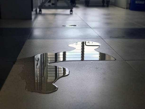 Best Commercial water damage restoration  in Butler, AL