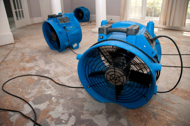 Best Flood damage cleanup  in Butler, AL