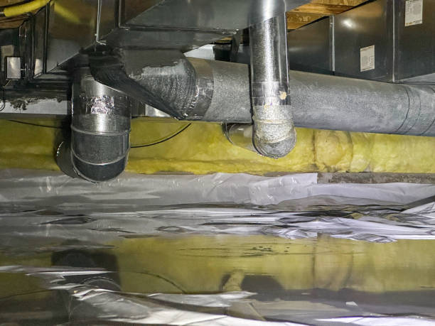 Best Basement water damage restoration  in Butler, AL