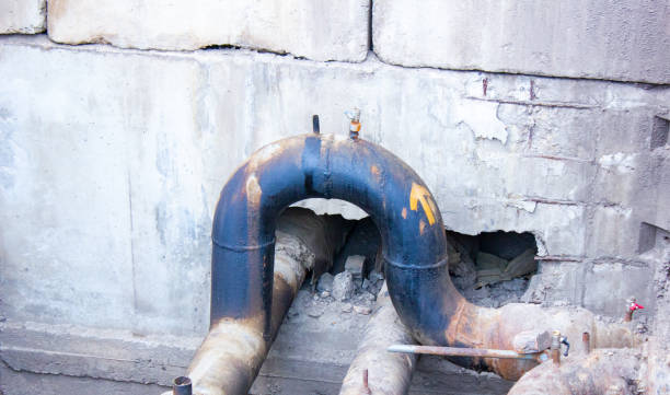 Best Ceiling water damage repair  in Butler, AL