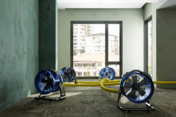 Best Water damage restoration near me  in Butler, AL