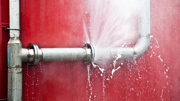Best Carpet water damage restoration  in Butler, AL